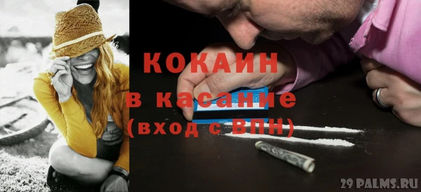 ешки Алексин