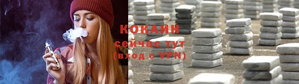 ешки Алексин