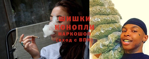 дживик Слюдянка