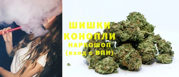 ешки Алзамай
