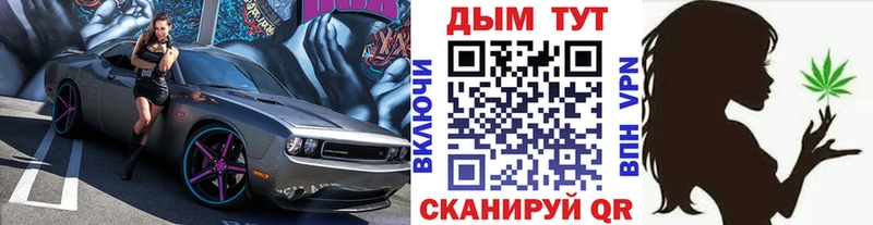 Канабис конопля Сосенский